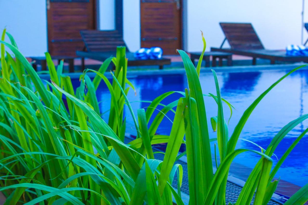 Ali Weta Safari Resort Udawalawe Buitenkant foto